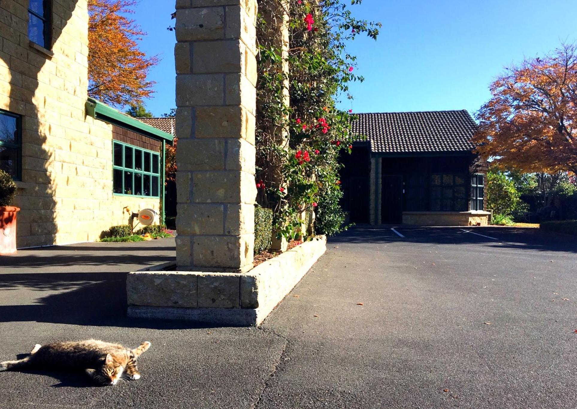 Cambridge Mews Motel Eksteriør bilde